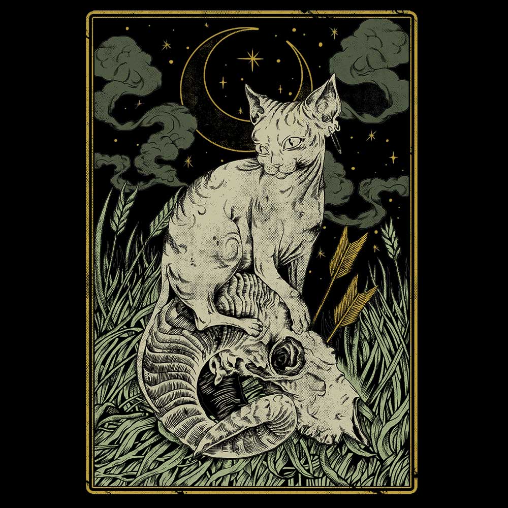 Mooncat | Pull teufeur